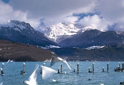 A46 - Saint-Jorioz