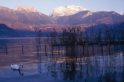 A49 - Saint-Jorioz