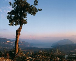Bourget 17 - le Grand Colombier