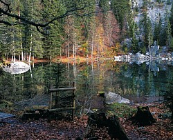 Lac Vert(2) - Passy