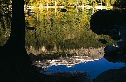 Lac Vert(1) - Passy