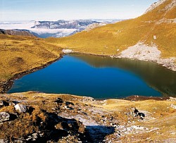 Lac du Mont Charvin(2)