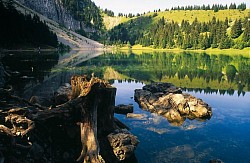 Lac bénit(1) - Bargy