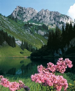 Lac d'Arvouin(2)