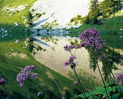 Lac d'Arvouin(3)