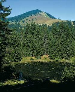 Lac du Fouyet