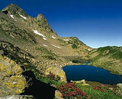Lac des Besaces