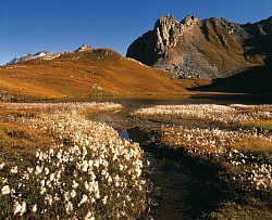 Lac du Grattaleu