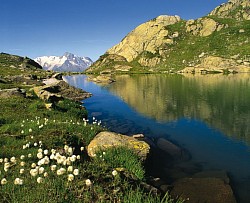 Lac du Petit(2)