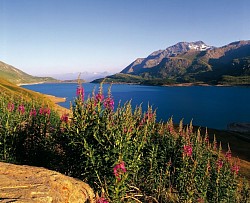 Lac du Mont-Cenis(2)
