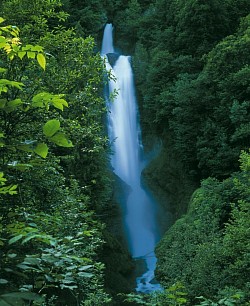 Cascade de chedde - Passy