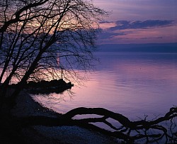 Léman 05 - Anthy-sur-Léman