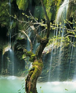 R05 - Gorges du Fier