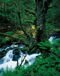 R09 - Le Gers - Sixt