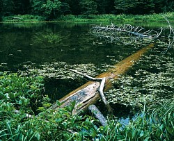 Lac de Pététoz Bellevaux