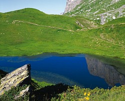 Le Laouchet de Pormenaz